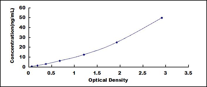 Typical Standard Curve for UCHL1 ELISA (Sandwich)