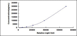 Typical Standard Curve for WNT3 CLIA (Sandwich)