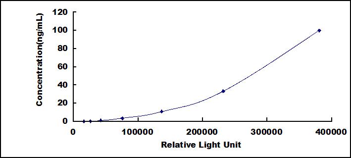 Typical Standard Curve for WNT5B CLIA (Sandwich)