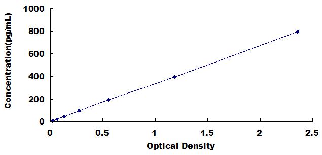 Typical Standard Curve for LZM ELISA (Sandwich)