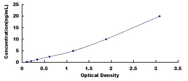 Typical Standard Curve for ABCD1 ELISA (Sandwich)