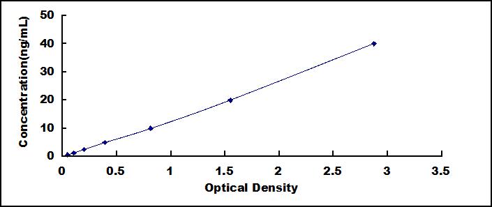 Typical Standard Curve for GPR131 ELISA (Sandwich)