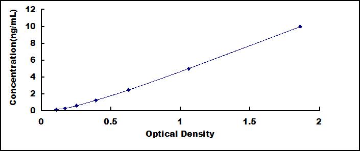 Typical Standard Curve for SNCG ELISA (Sandwich)