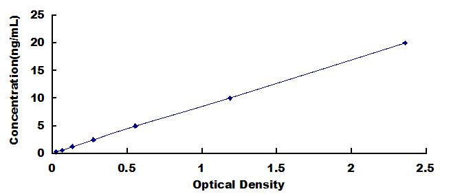 Typical Standard Curve for CLSTN3 ELISA (Sandwich)