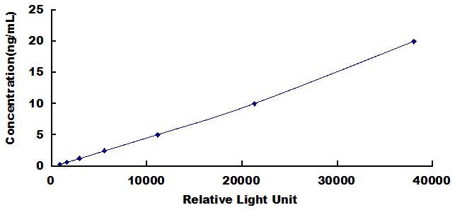Standard Curve