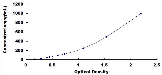 Standard Curve