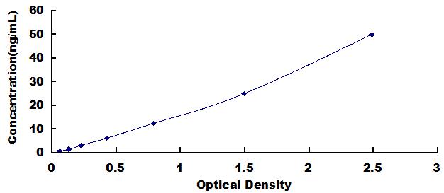 Standard Curve