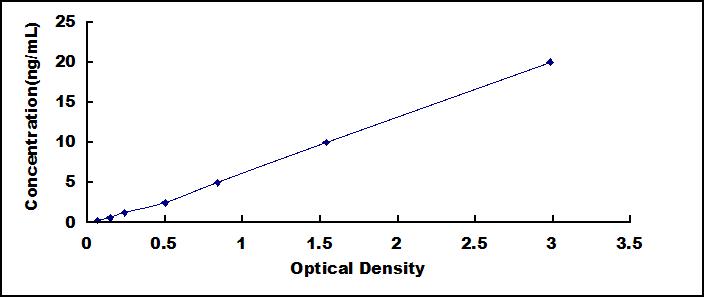 Standard Curve