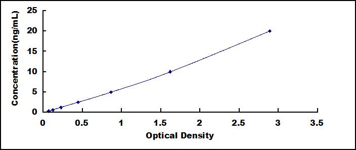 Standard Curve