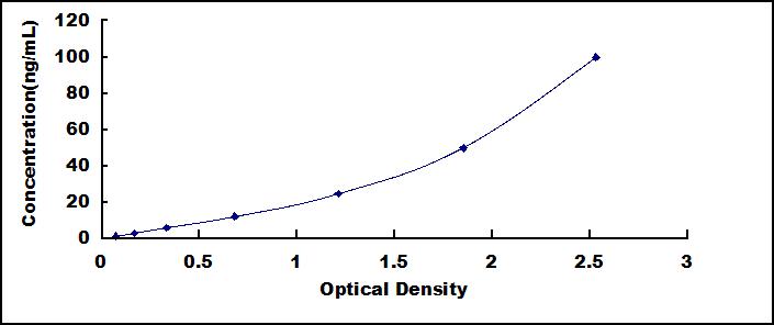 Standard Curve