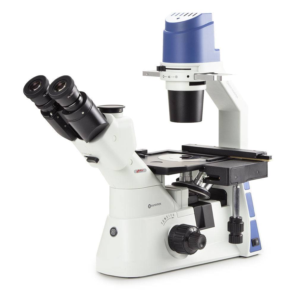Oxion Inverso Microscope