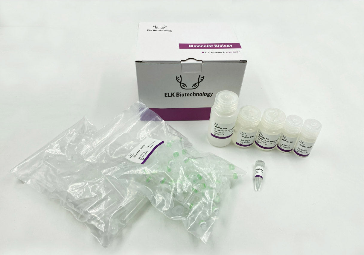 FFPE DNA Extraction Kit