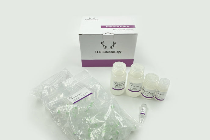 Plant/fungal DNA extraction kit