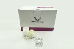 Mouse tissue direct PCR kit