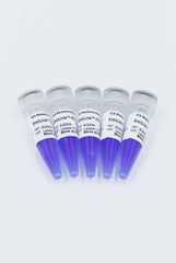 EntiLink™ PCR Master Mix