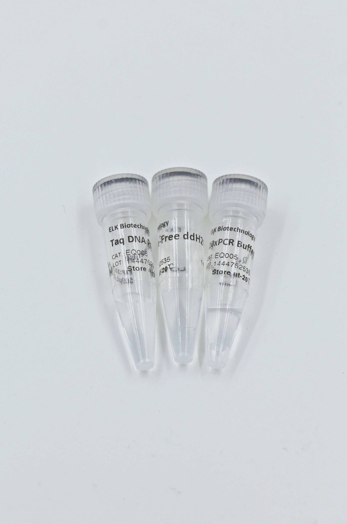 Taq DNA Polymerase