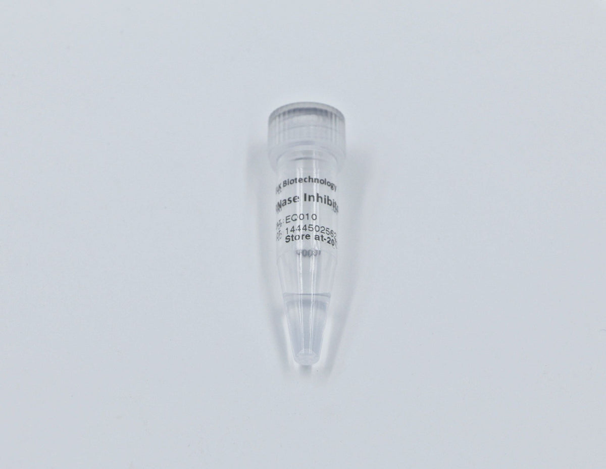 RNase Inhibitor