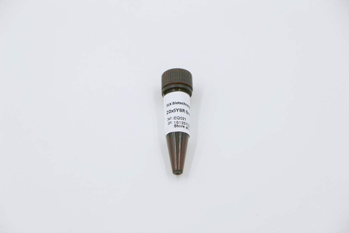 20×SYBR Green Dye