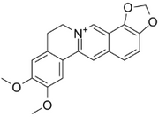 Epiberberine