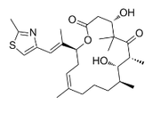 Epothilone D