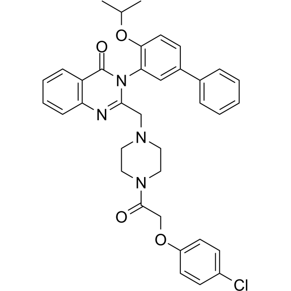 Erastin2