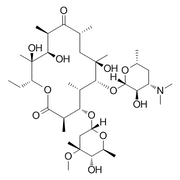 Erythromycin