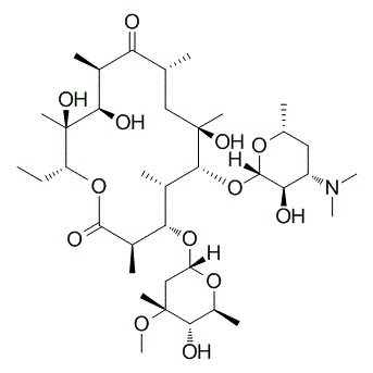 Erythromycin