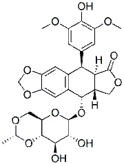 Etoposide