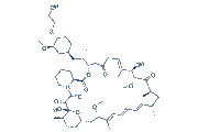 Everolimus chemical structure