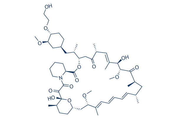 Everolimus chemical structure