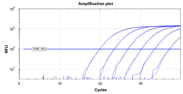 5X PrimePath Probe qPCR Kit, GPR - Real-time PCR - Takara Bio