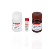 Firefly Luciferase Assay Kit