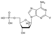 Fludarabine