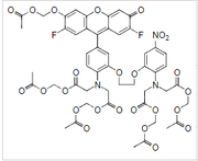 Fluo-5N,AM
