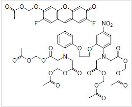 Fluo-5N,AM