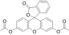 Fluorescein diacetate