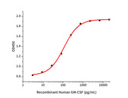 Recombinant Human GM-CSF