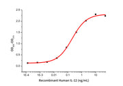 Recombinant Human IL-12