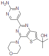 GNE-493
