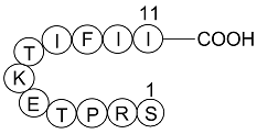 Gap 27