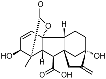 Gibberellin