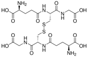 Glutathione Oxidized