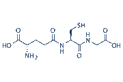 Glutathione