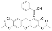 H2DCFDA