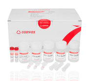 HigherPurity™ Bacterial DNA Isolation Kit
