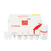 HigherPurity™ Swab DNA Extraction Mini Spin Kit