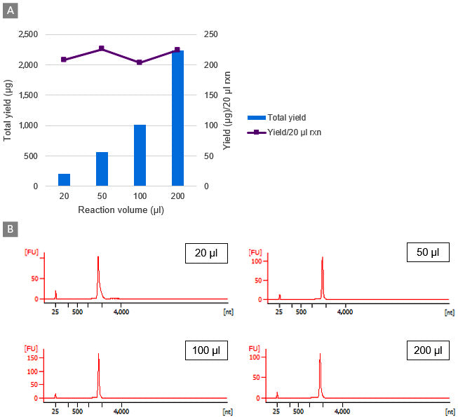 Takara IVTpro mRNA Synthesis Systems - mRNA and cDNA synthesis - Takara Bio