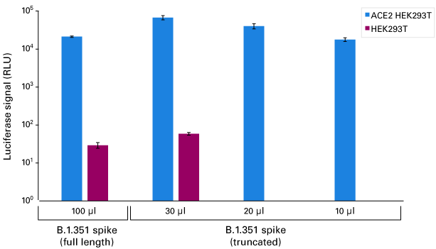 SARS-CoV-2 pseudovirus packaging systems - B.1.351 - COVID-19 research - Takara Bio