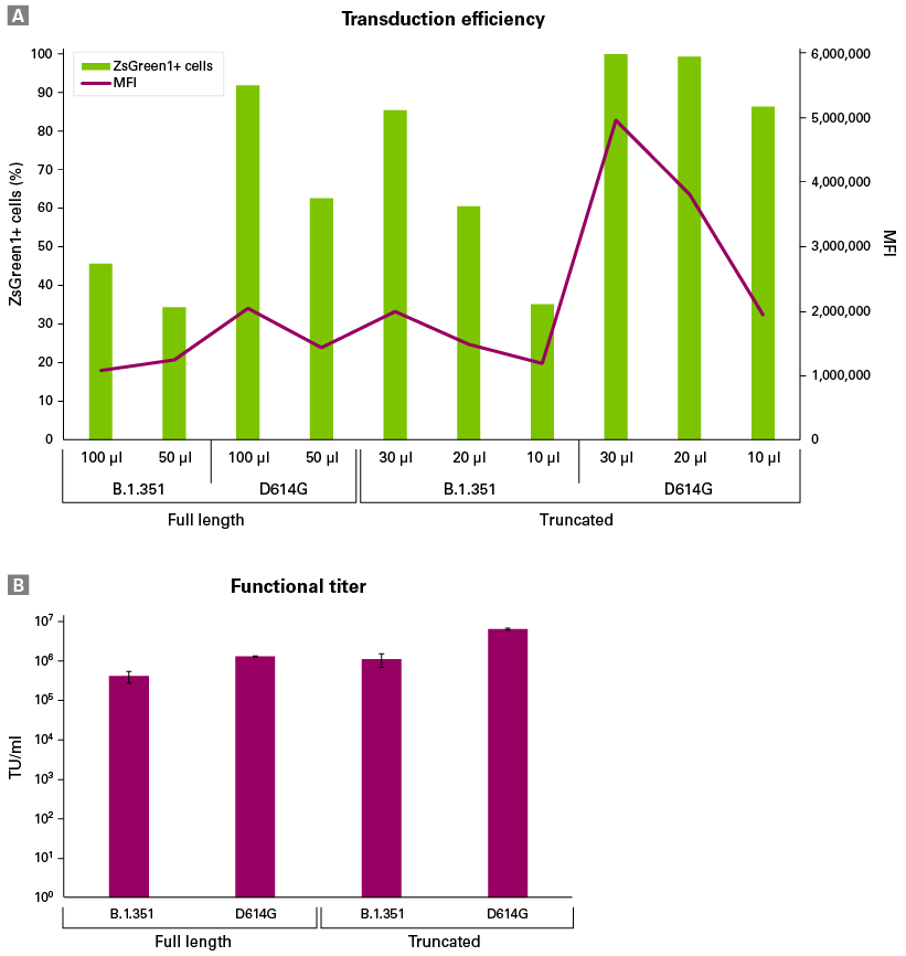 SARS-CoV-2 pseudovirus packaging systems - B.1.351 - COVID-19 research - Takara Bio