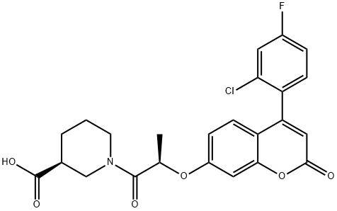 IMT1B